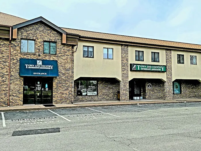 Town & Country Veterinary Associates Picture 10
