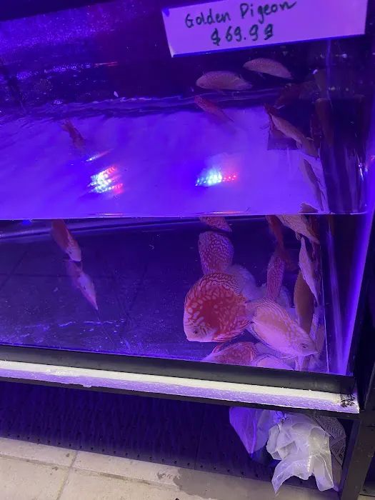 Texas Aqua Picture 10