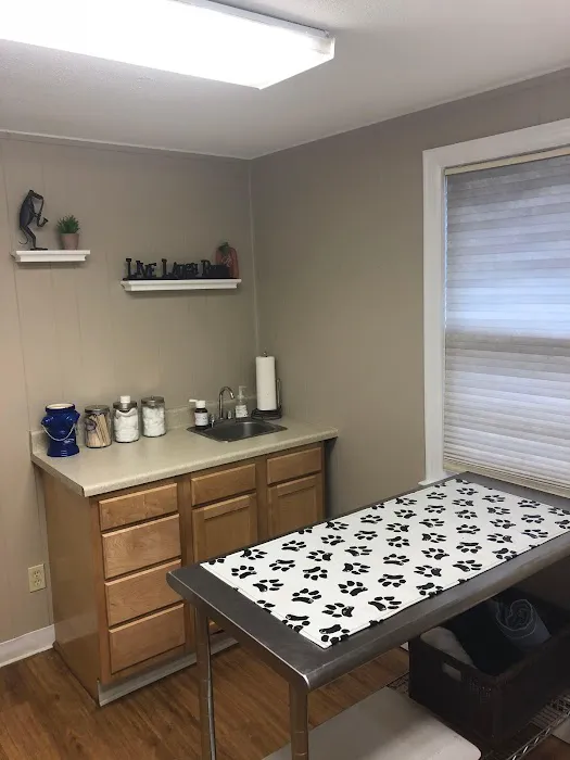 VCA Animal Hospital of Vernon Picture 7