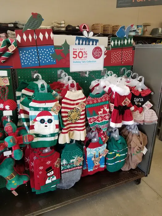 Petco Picture 8