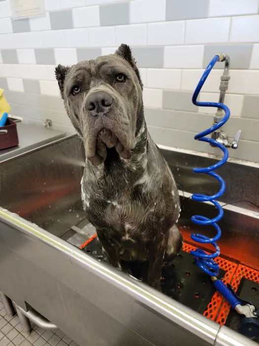 Petco Picture 10
