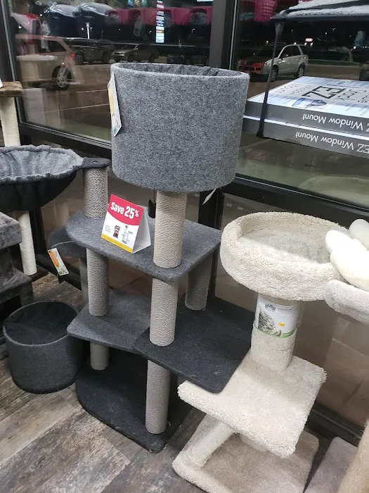 Pet Supermarket Picture 4