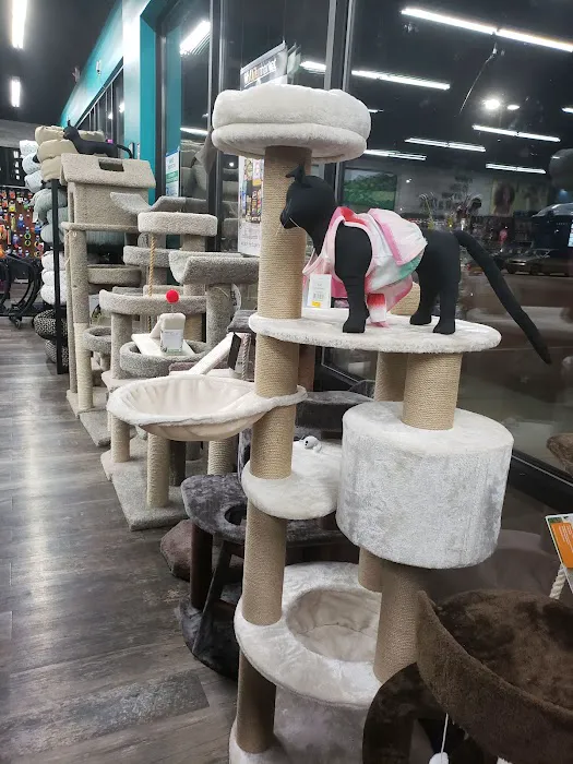 Pet Supermarket Picture 1