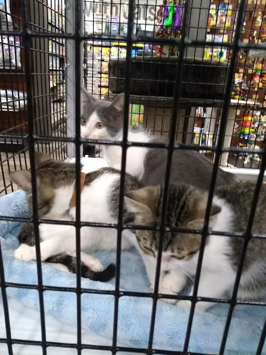 Pet Supermarket Picture 3