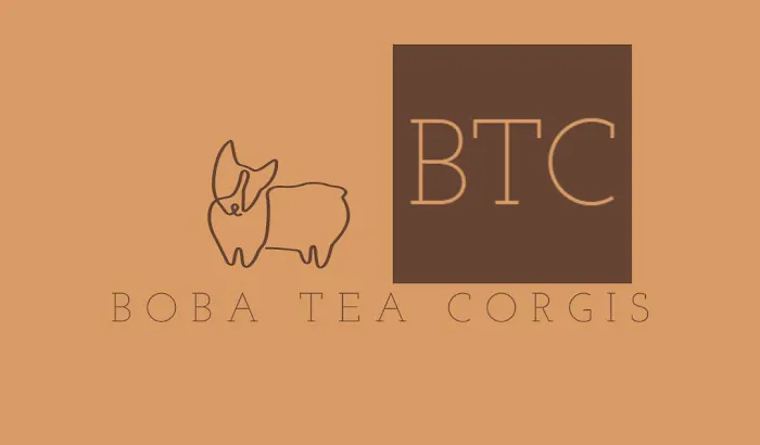 Boba Tea Corgis Picture 3