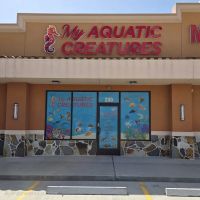 My Aquatic Creatures ico