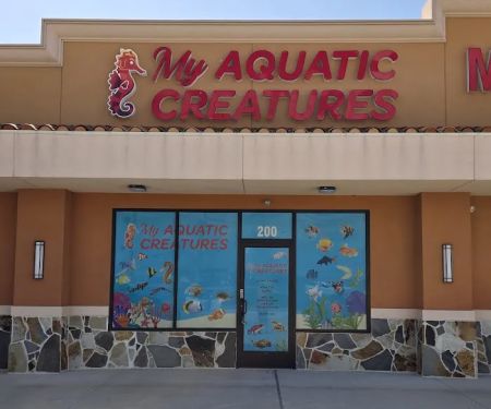 My Aquatic Creatures