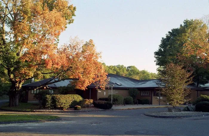 Bolton Veterinary Hospital Picture 9