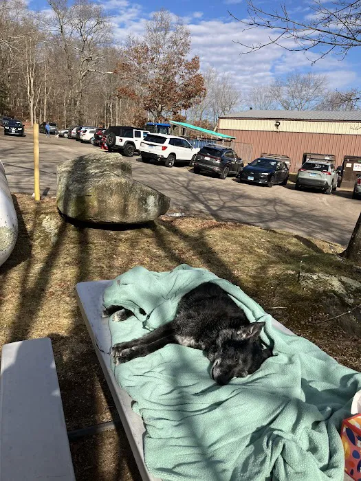 Bolton Veterinary Hospital Picture 1
