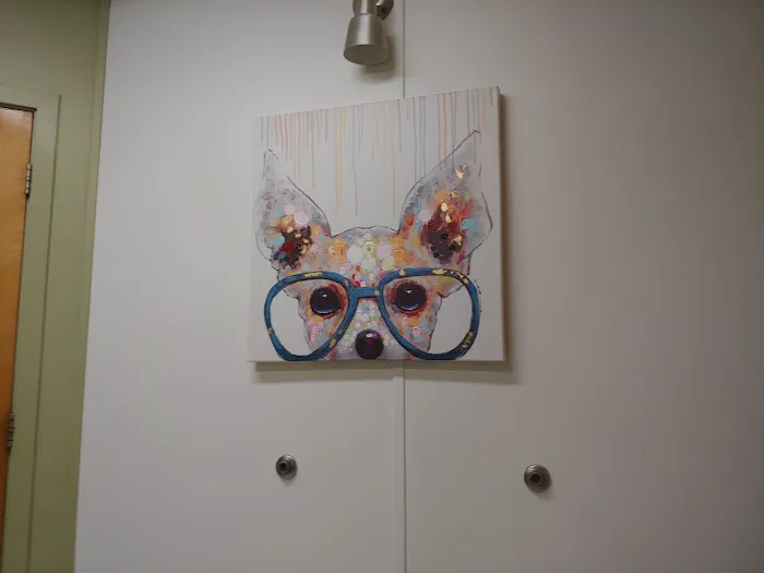 Bolton Veterinary Hospital Picture 7