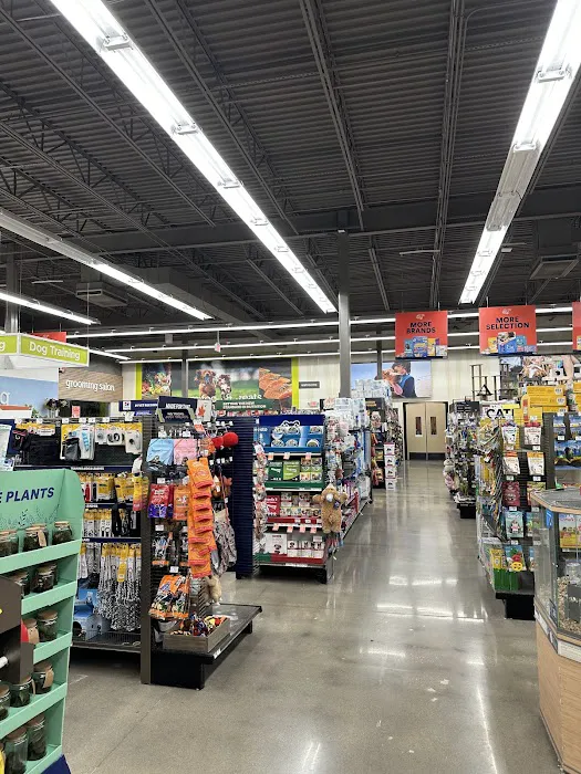 Petco Picture 1