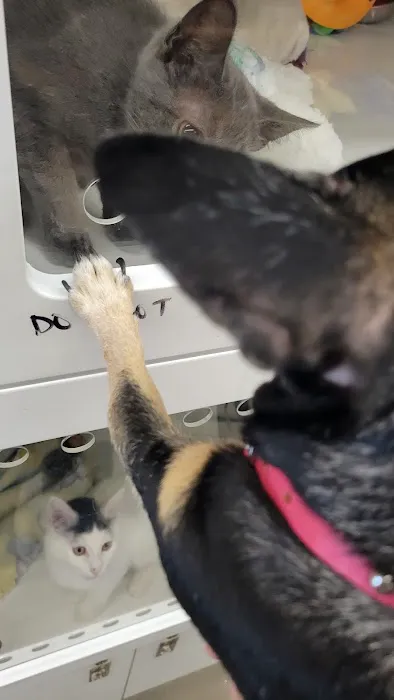 Petco Picture 9