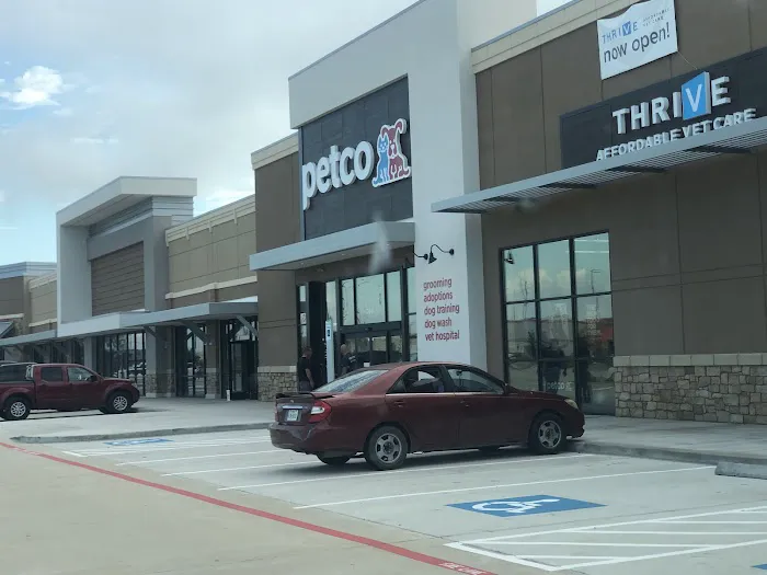 Petco Picture 4