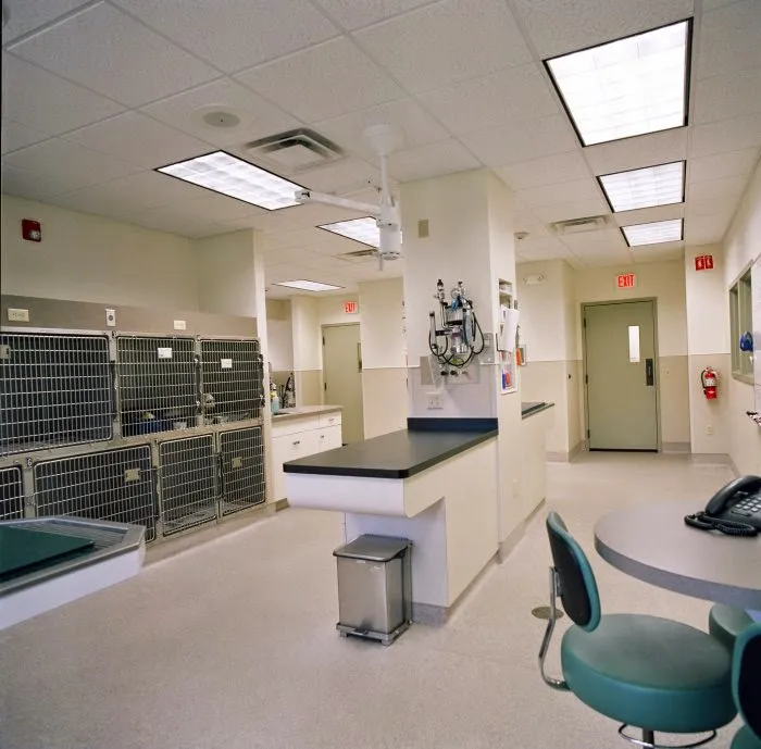 VCA Southwick Animal Hospital Picture 4