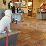Southwick Animal Hospital: Burgess Margaret E DVM