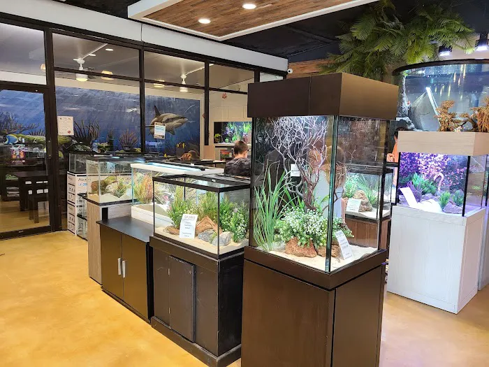 Fish Gallery | Aquarium Superstore Picture 3