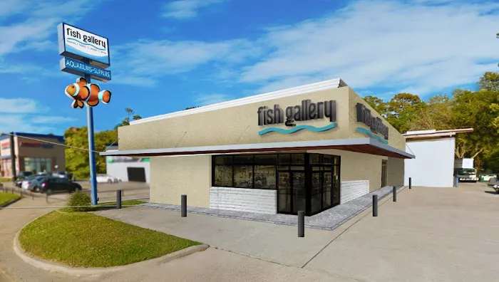 Fish Gallery | Aquarium Superstore Picture 2