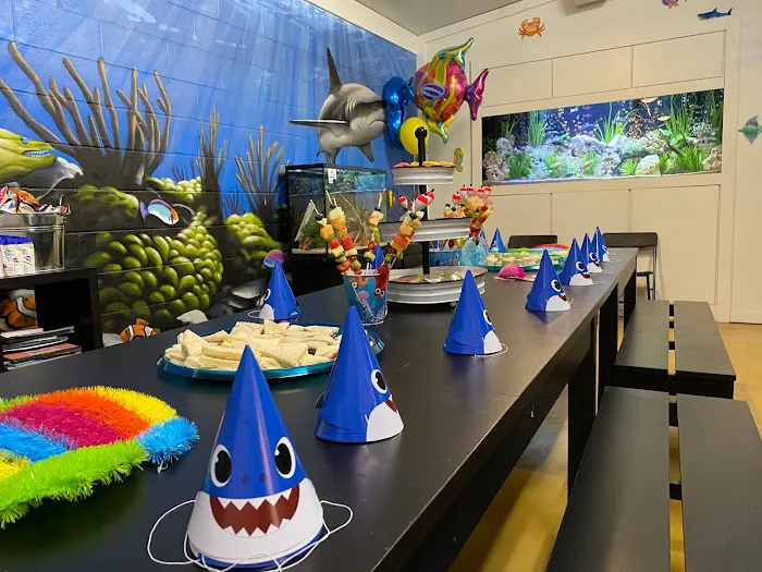 Fish Gallery | Aquarium Superstore Picture 8