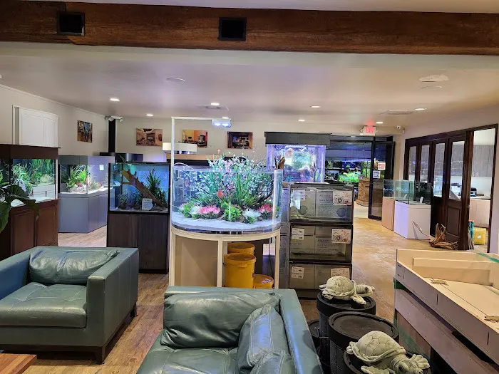 Fish Gallery | Aquarium Superstore Picture 5