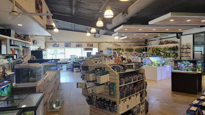 Fish Gallery | Aquarium Superstore Picture 1