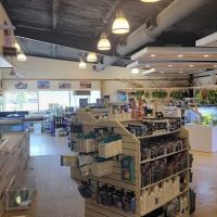 Fish Gallery | Aquarium Superstore ico