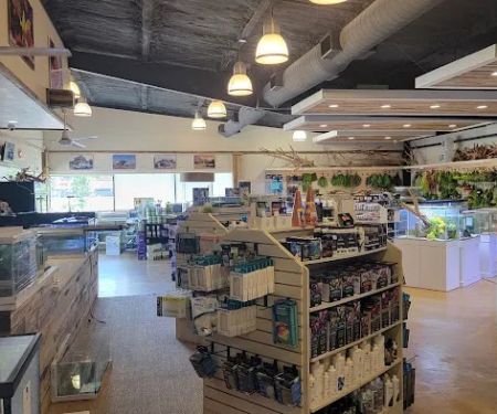 Fish Gallery | Aquarium Superstore