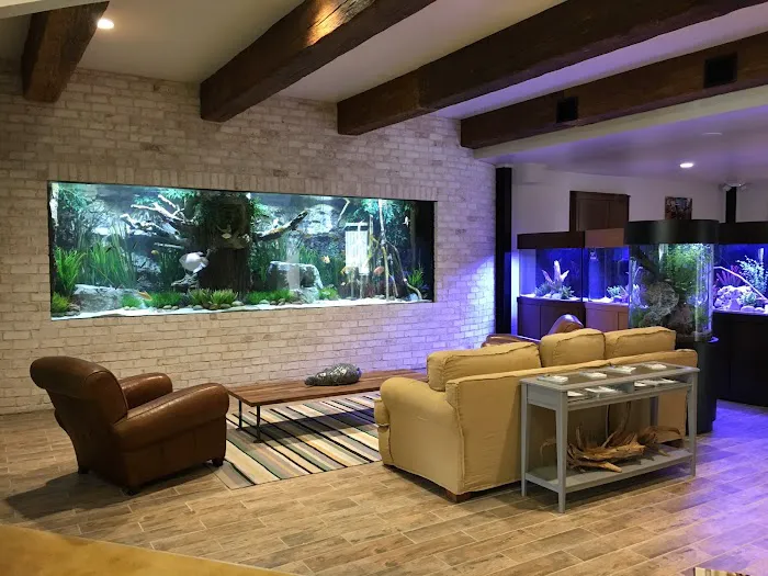 Fish Gallery | Aquarium Superstore Picture 10