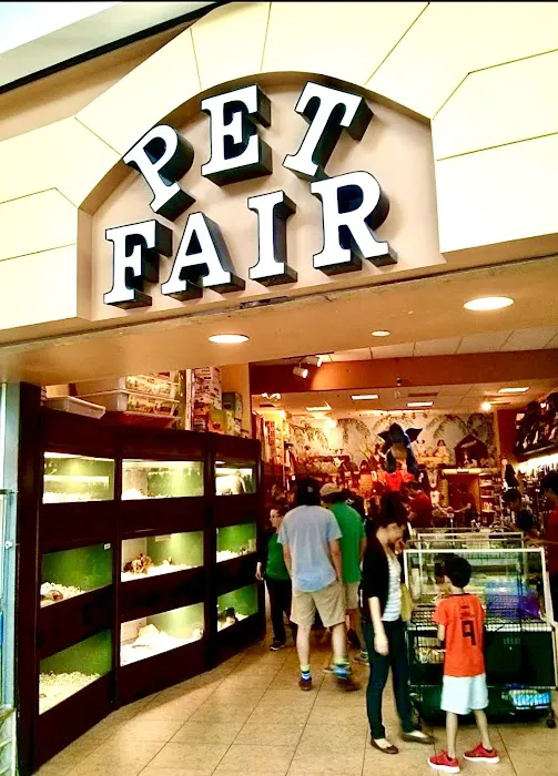 Pet Fair Picture 2