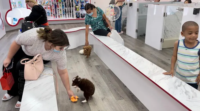 Pet Fair Picture 1