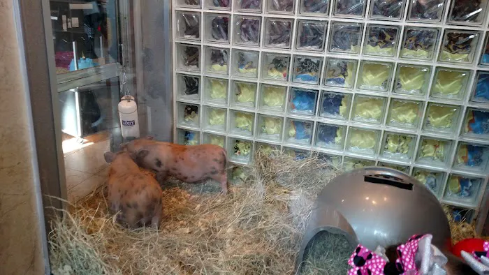 Pet Fair Picture 4