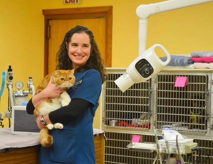 Feeding Hills Veterinary Clinic Picture 4