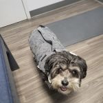 Feeding Hills Veterinary Clinic