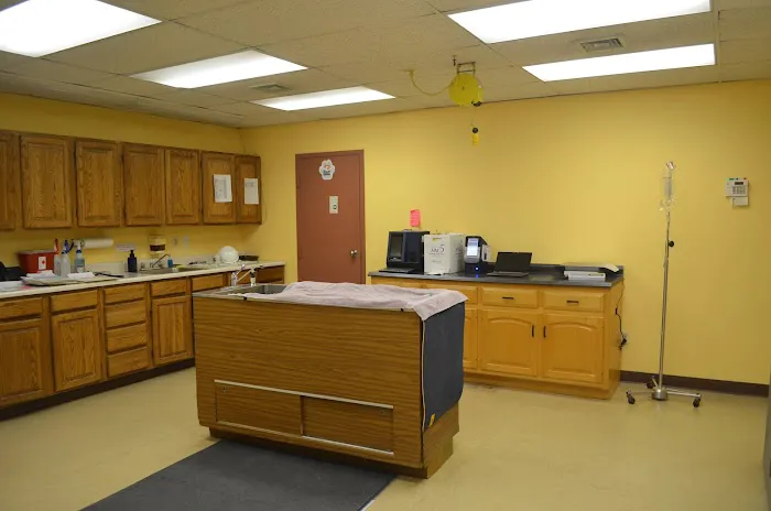 Feeding Hills Veterinary Clinic Picture 3