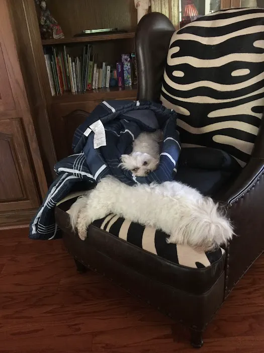 Tiny Paws Resale Picture 1