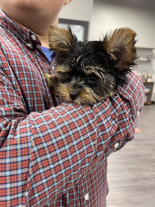 Petland Woodlands Picture 5