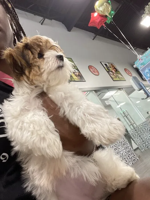 Petland Woodlands Picture 6