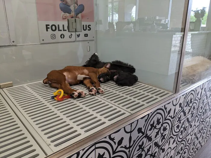 Petland Woodlands Picture 9