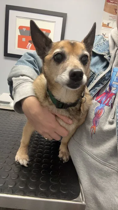 Agawam Animal Hospital Picture 2