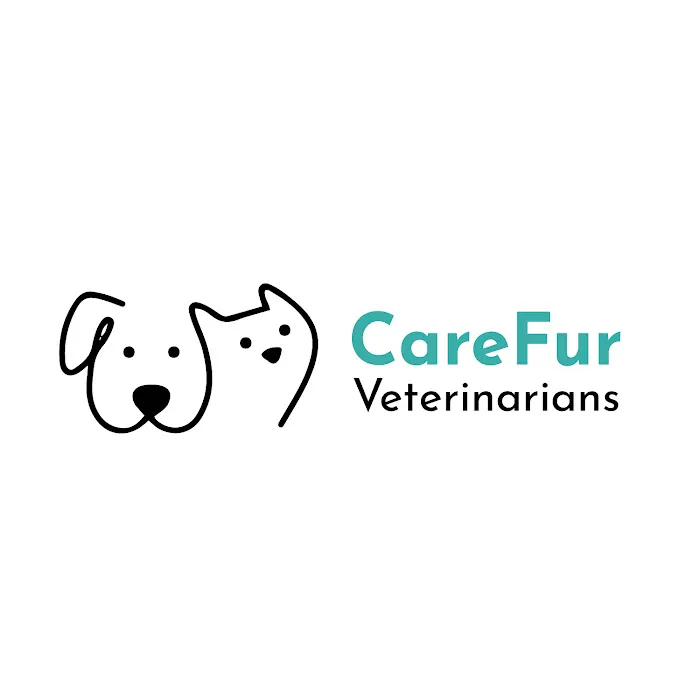 CareFur Veterinarians Picture 1