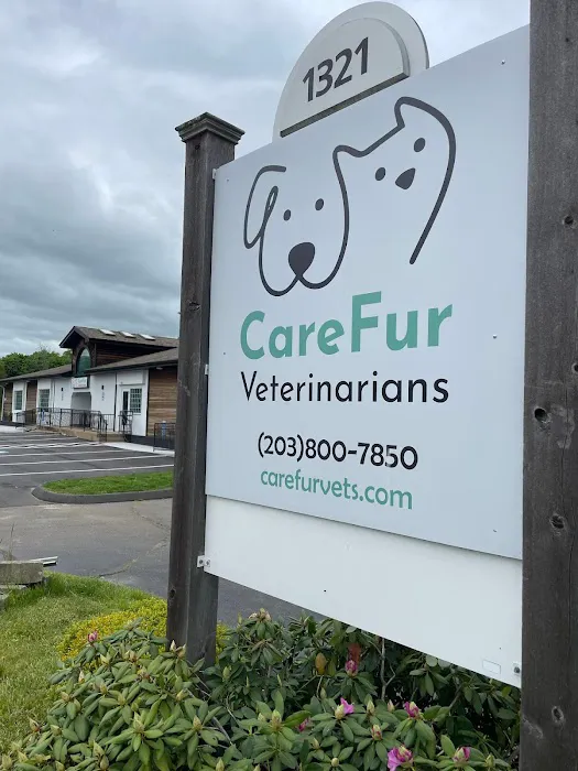CareFur Veterinarians Picture 3