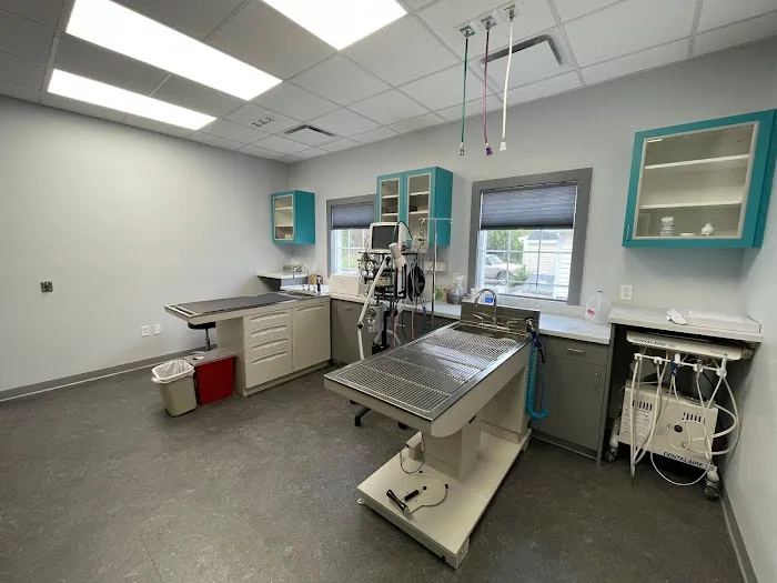 CareFur Veterinarians Picture 8