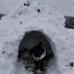 Copper Ridge Animal Hospital