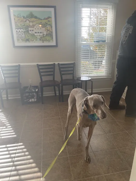 Copper Ridge Animal Hospital Picture 2