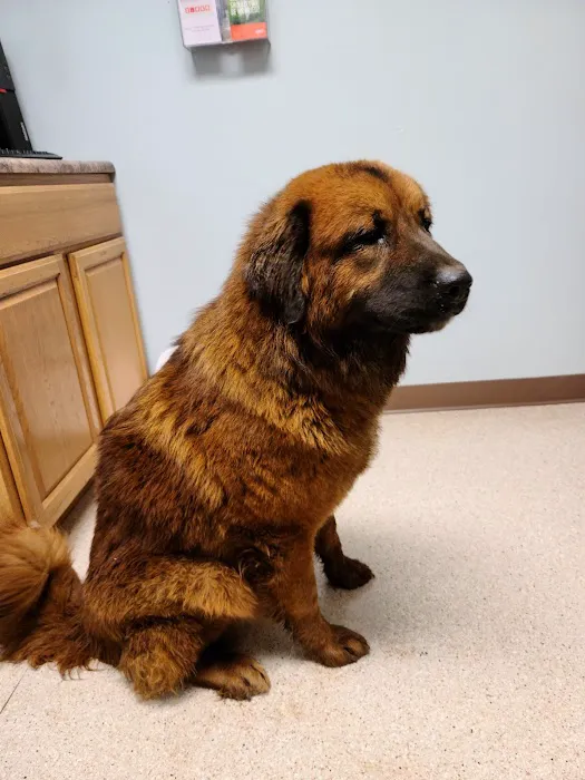 Mountainview Veterinary Services Picture 10