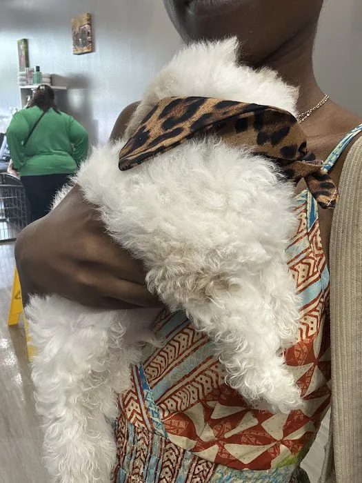 Find A Pet Picture 3