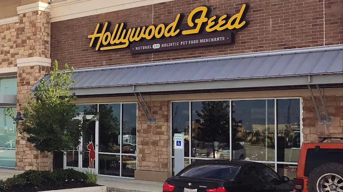 Hollywood Feed Picture 5