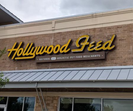 Hollywood Feed