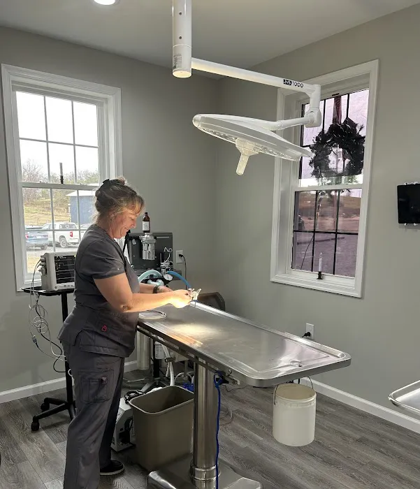 Augusta Animal Hospital Picture 1
