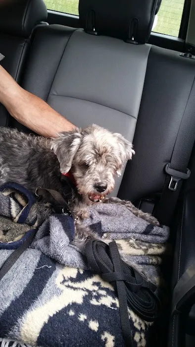 Augusta Animal Hospital Picture 3