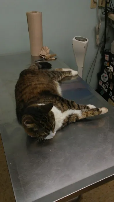 Augusta Animal Hospital Picture 6